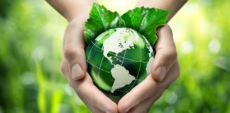 Essay on Save Environment in Hindi